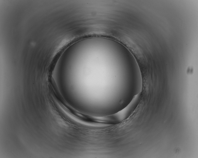 X0000094430112200711151351