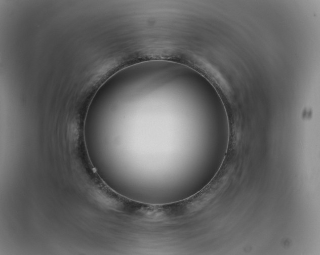 X0000094430113200711151351