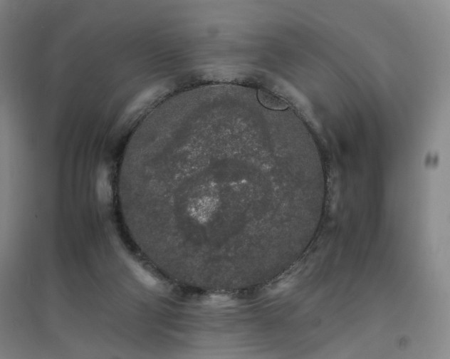 X0000094430114200711151351