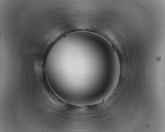 X0000094430116200711151351