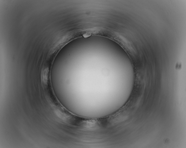 X0000094430118200711151351