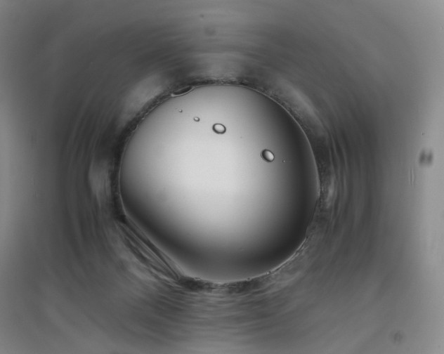 X0000094430120200711151350