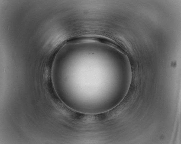 X0000094430123200711151350