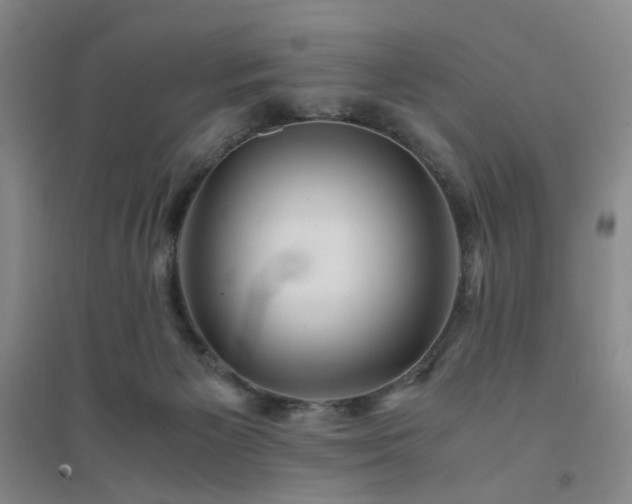 X0000094430125200711151350