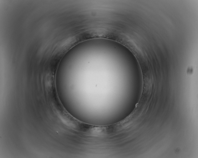 X0000094430126200711151350