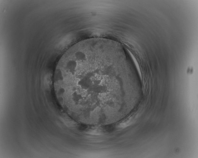 X0000094430127200711151350