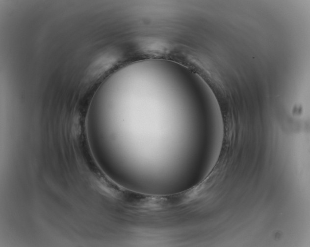 X0000094430128200711151350