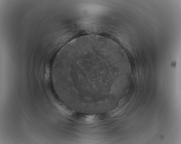 X0000094430130200711151350