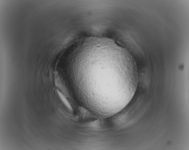 X0000094430131200711151350