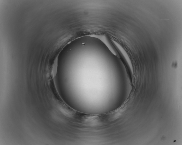 X0000094430132200711151350