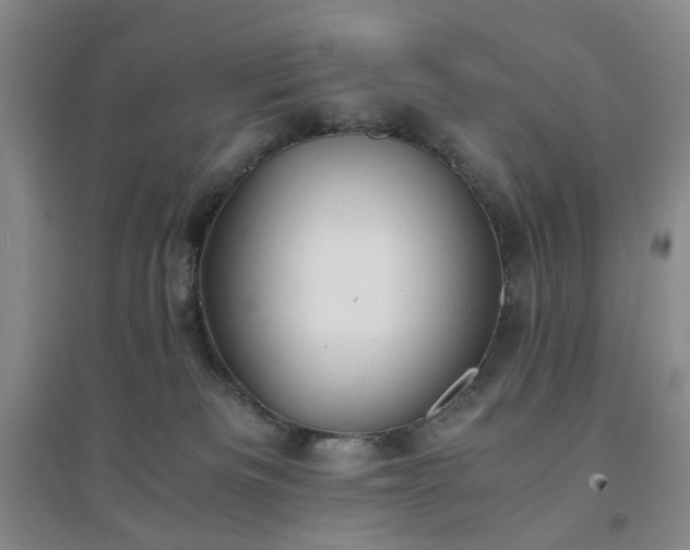 X0000094430133200711151350