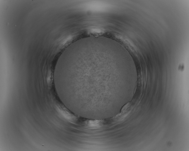 X0000094430134200711151350