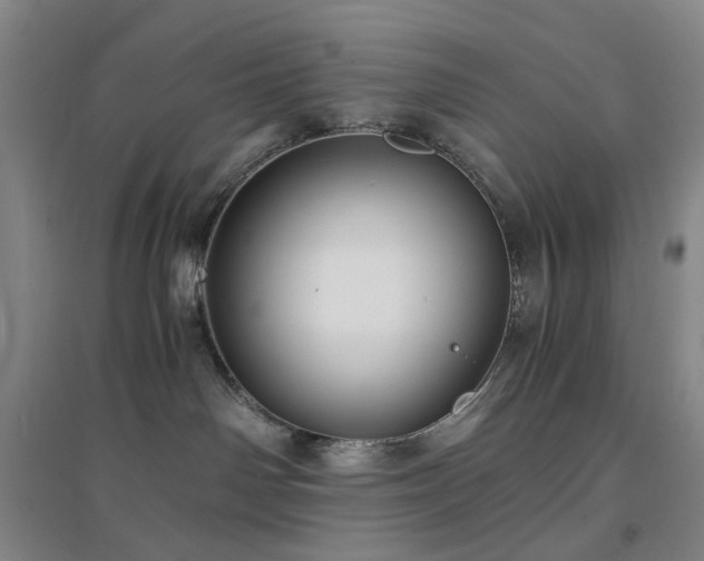X0000094430142200711151350