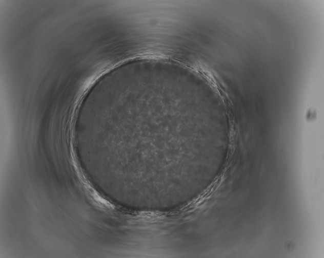 X0000094430145200711151349