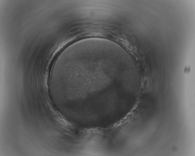 X0000094430146200711151349