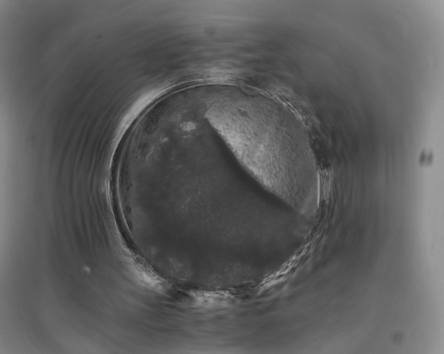 X0000094430147200711151349