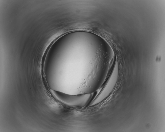 X0000094430148200711151350