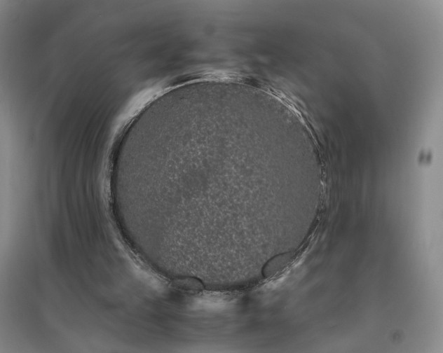 X0000094430149200711151350