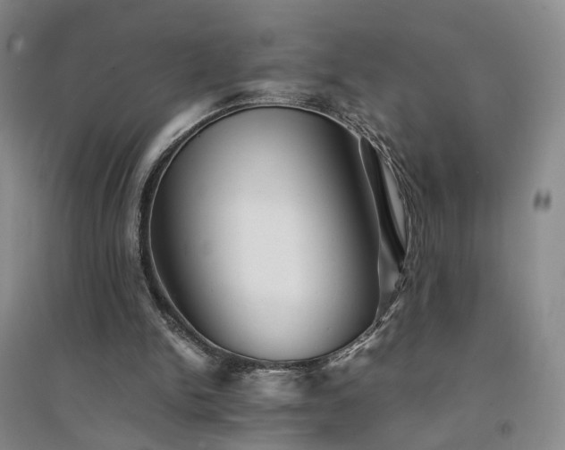 X0000094430150200711151350