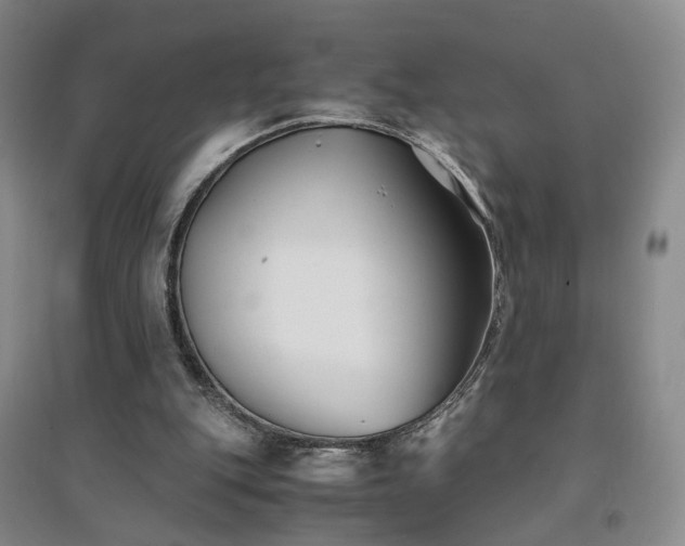X0000094430151200711151350