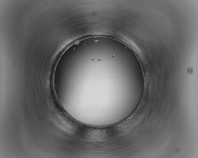 X0000094430155200711151350
