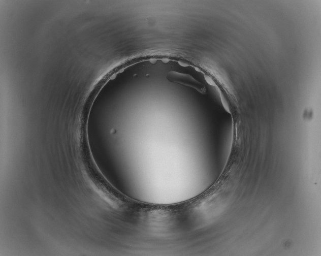 X0000094430156200711151350