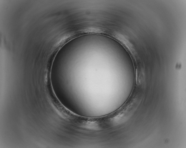 X0000094430157200711151350