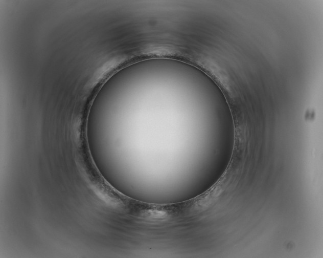 X0000094430159200711151350