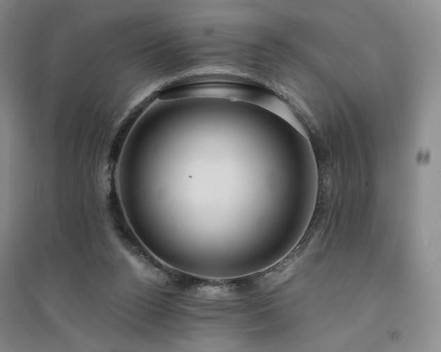 X0000094430160200711151350