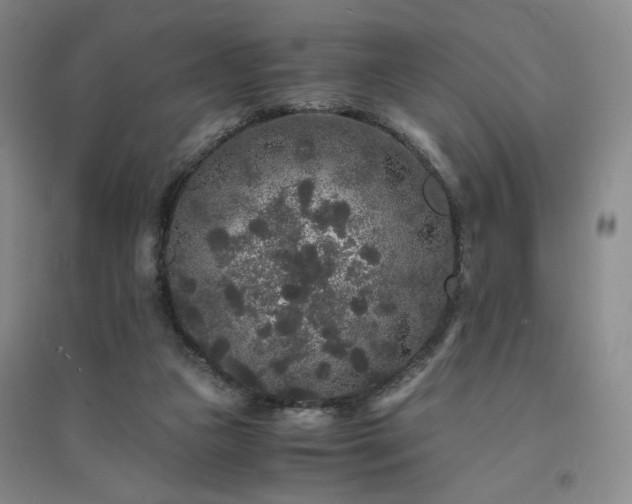 X0000094430161200711151350