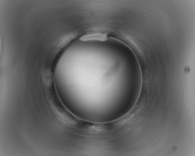 X0000094430164200711151350