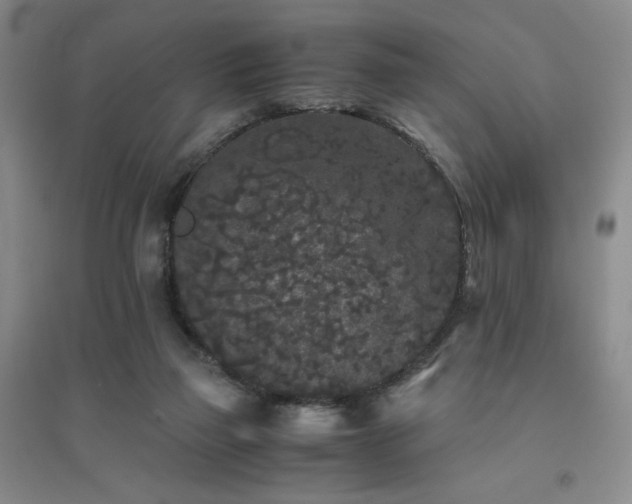 X0000094430165200711151350
