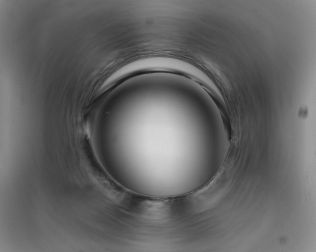 X0000094430170200711151350