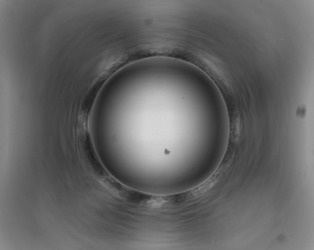 X0000094430172200711151350