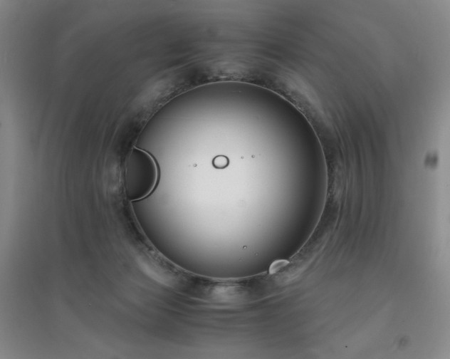 X0000094430173200711151350
