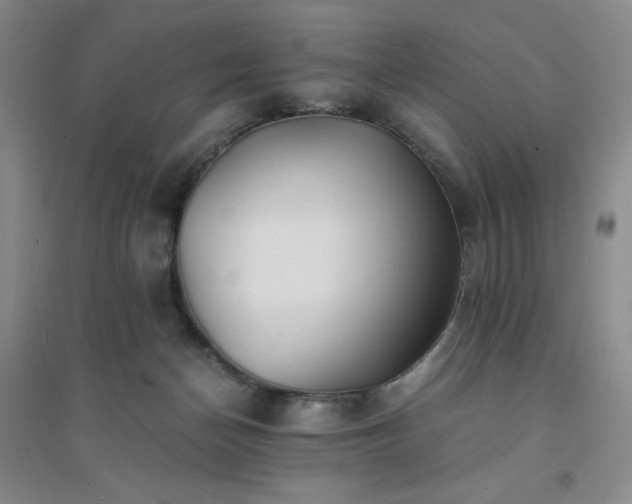 X0000094430174200711151350