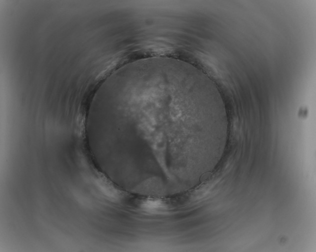 X0000094430177200711151350