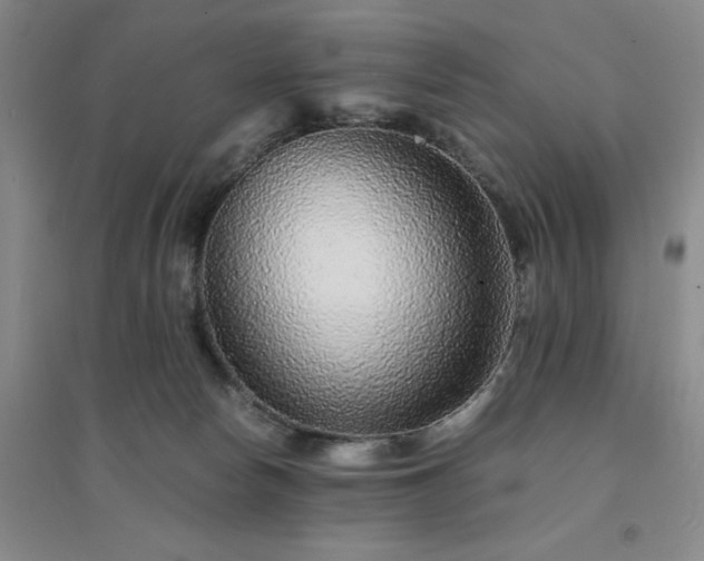 X0000094430178200711151350