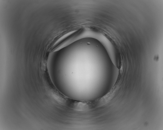 X0000094430180200711151350