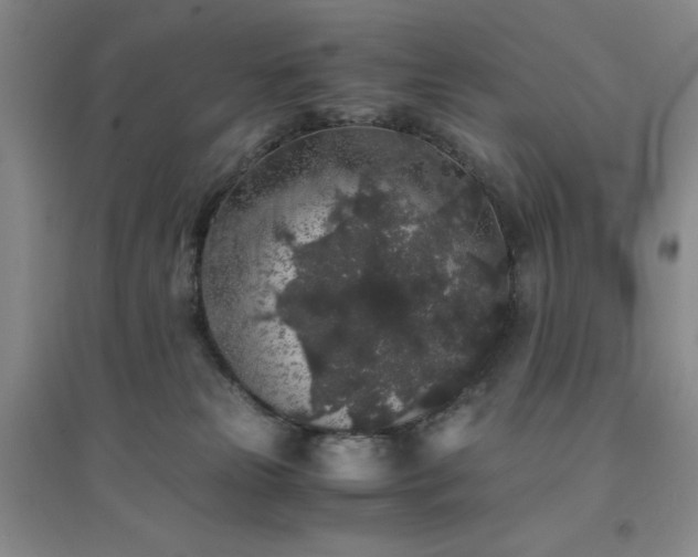 X0000094430181200711151350