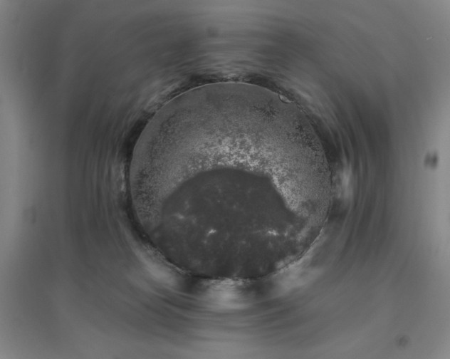 X0000094430182200711151350