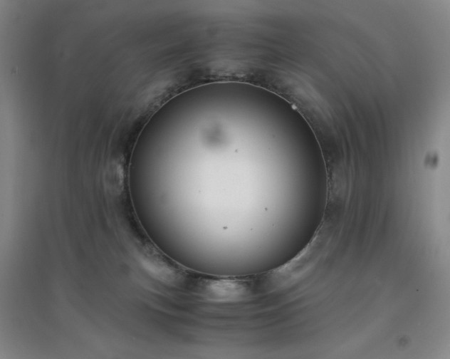 X0000094430183200711151350