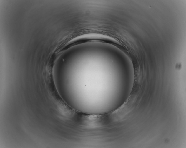 X0000094430184200711151350