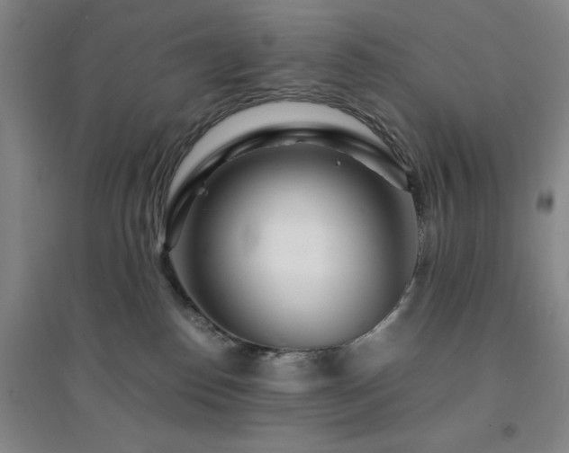 X0000094430186200711151350