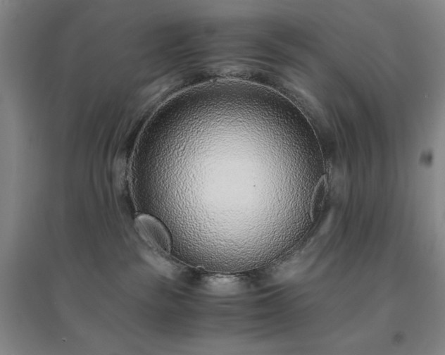 X0000094430189200711151350