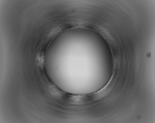 X0000094430190200711151350