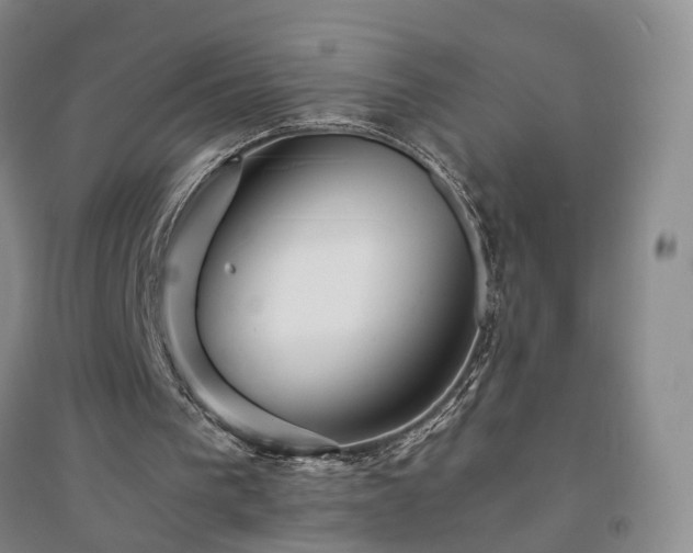 X0000094430193200711151349