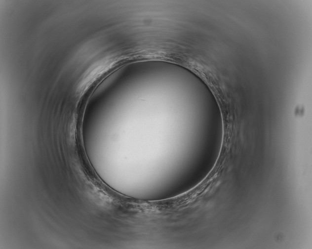 X0000094430194200711151349