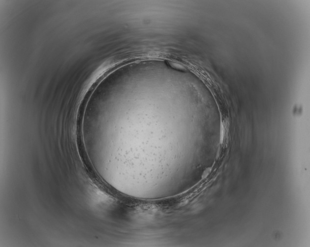 X0000094430195200711151349