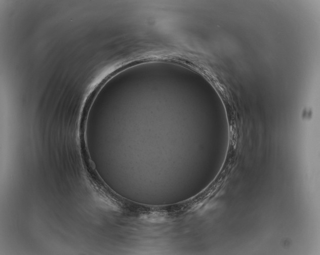 X0000094430196200711151349